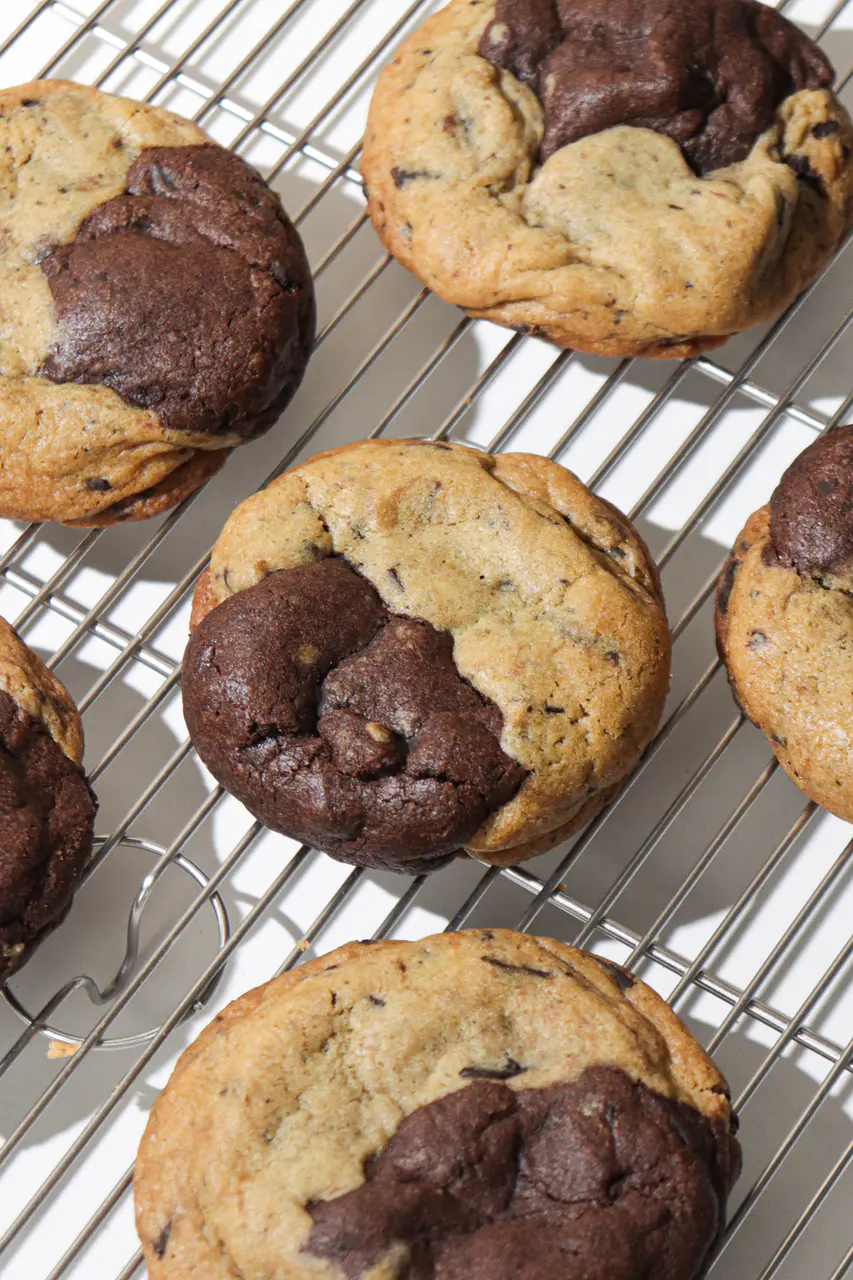 Brookie (1 Pc)