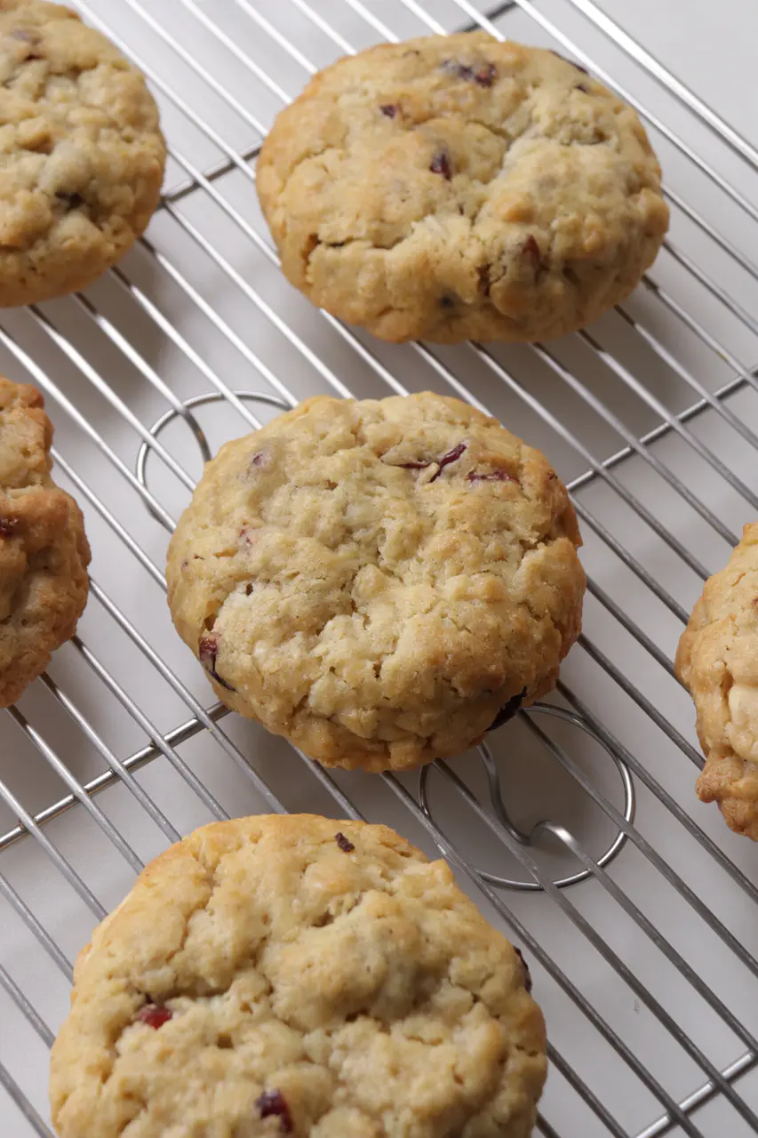 White Chocolate Cranberry Oat (1 Pc)